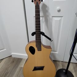 Guitar Acustic Michael Kelly 