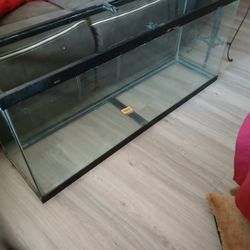 Aquarium Tank 