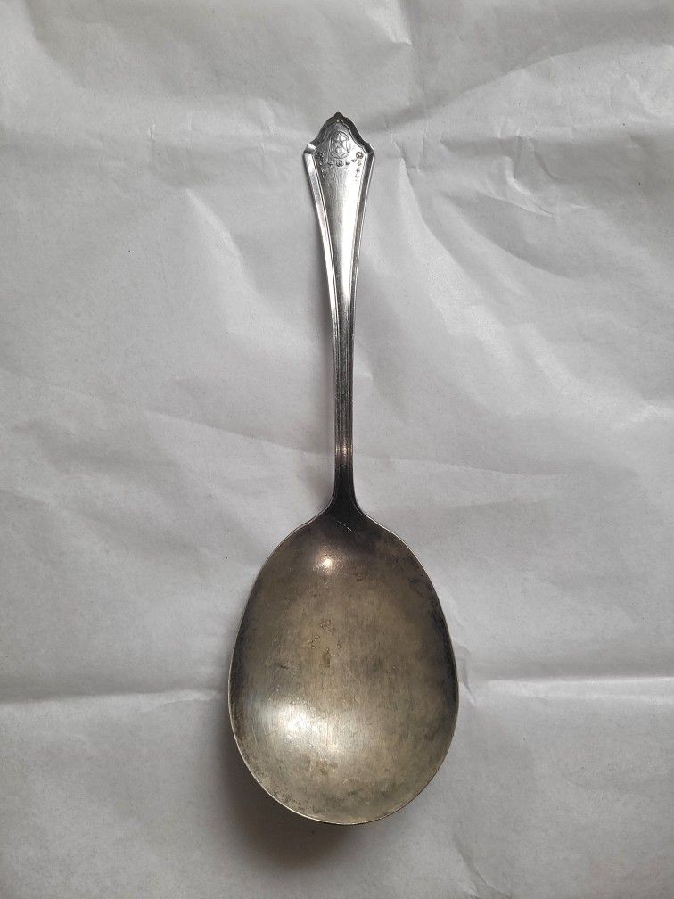 Holmes & Tuttle Silver Plate MEADOW FLOWER 1940 Serving Spoon