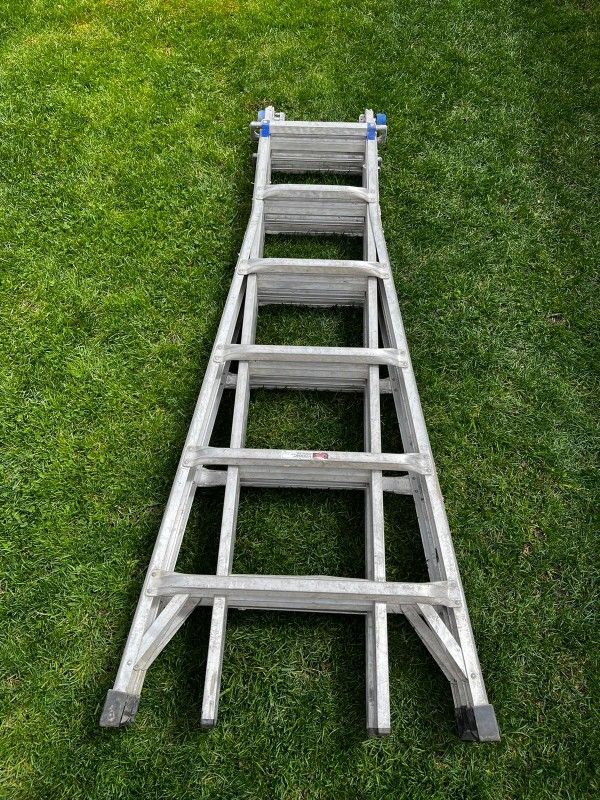 Ladder  Mt24'