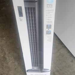 Stand Up Fan