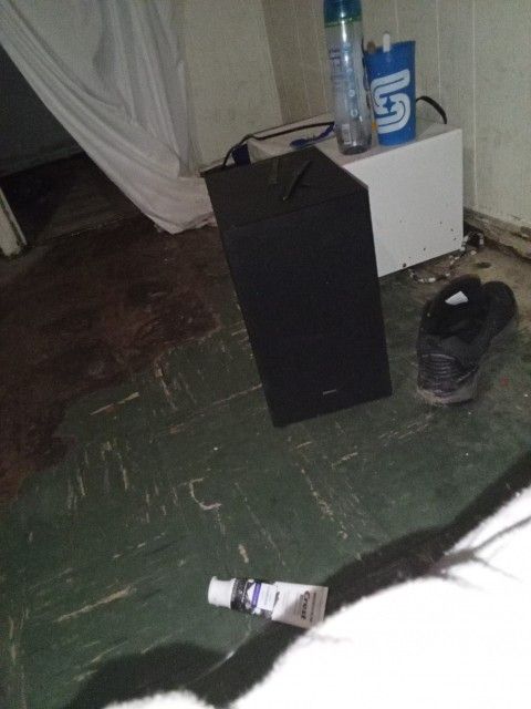 Speaker