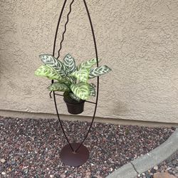 One Of A Kind wrought Iron handmad art plant Holder 
