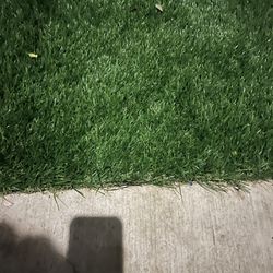 Costco Fake Grass