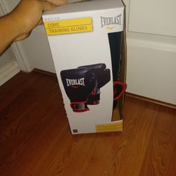 Everlast Boxing  Gloves 
