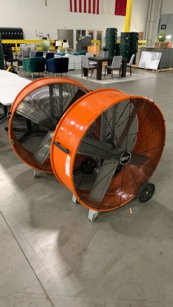 Big fans