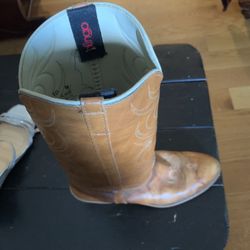 Dingo Women’s Boots 