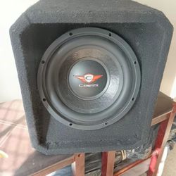 10" Subwoofer 