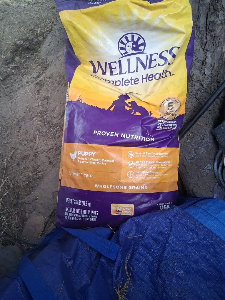 Great Dog Food For Many Healthy Reasons They Really Love This Food