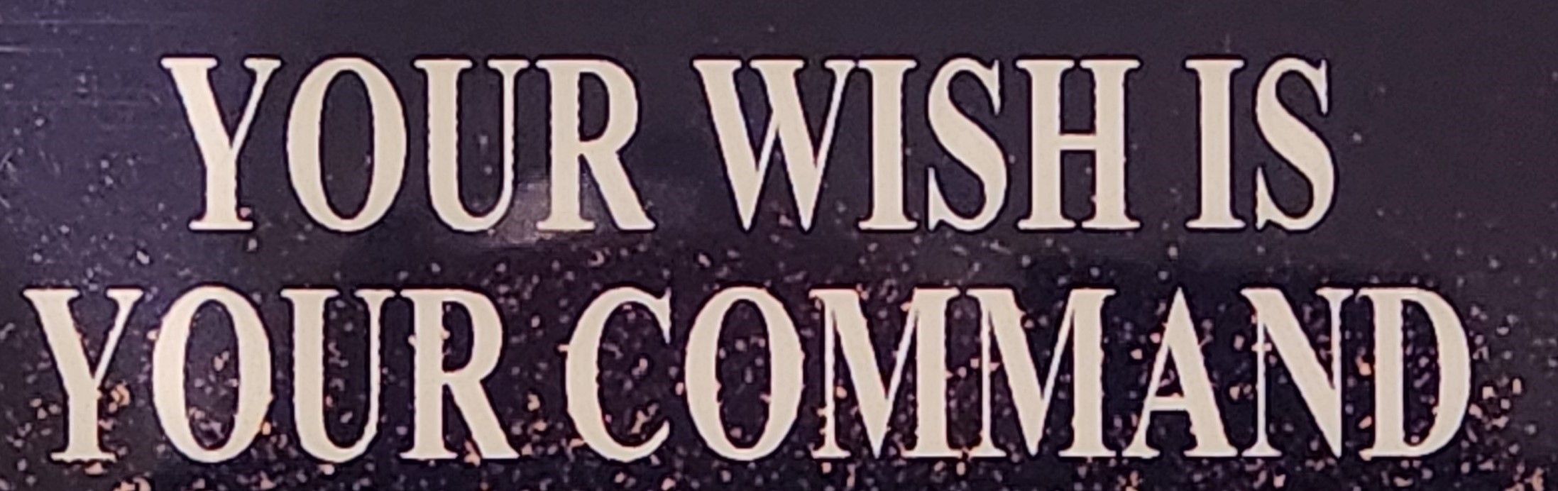Your Wish Is Your Command 14 CD Course FREE