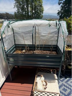 Metal Raised Garden Bed with Greenhouse Cover – Dark Green