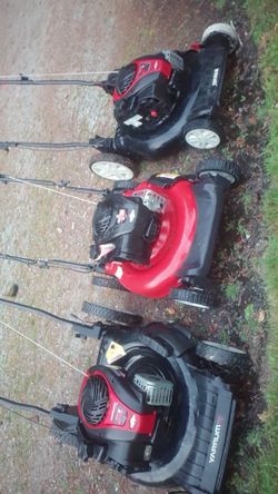 3 Murray mowers  1 for 50 or 3 for 100