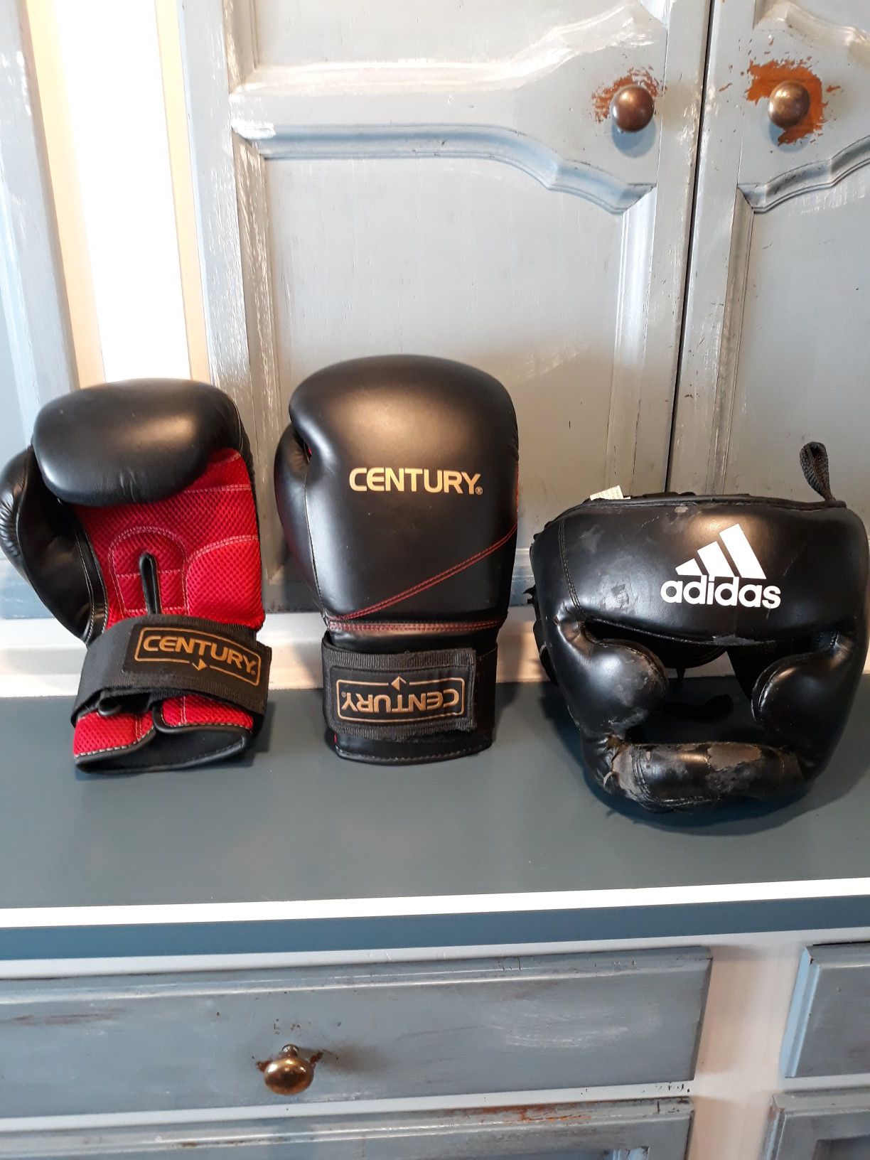 Century training boxing gloves