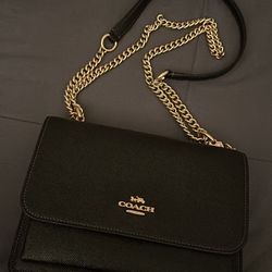 Coach klare purse w/ wallet