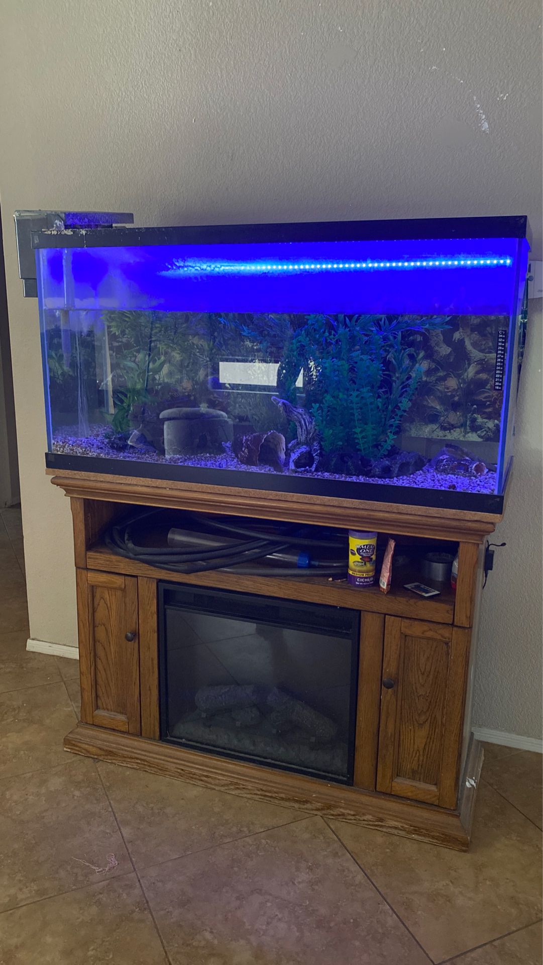 90 gallon fish tank aquarium