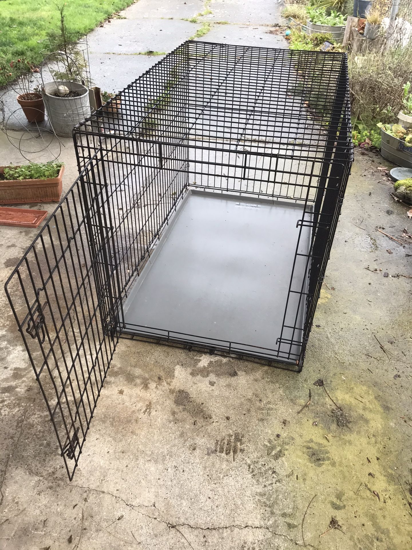 Extra Large XL Dog kennel crate