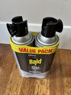 Raid Wasp & Hornet Killer 2-Pack