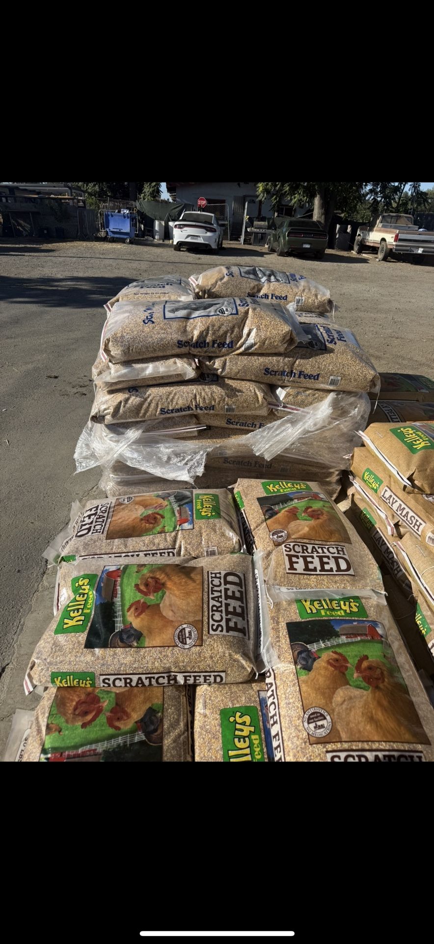 Rooster And Chicken Feed 