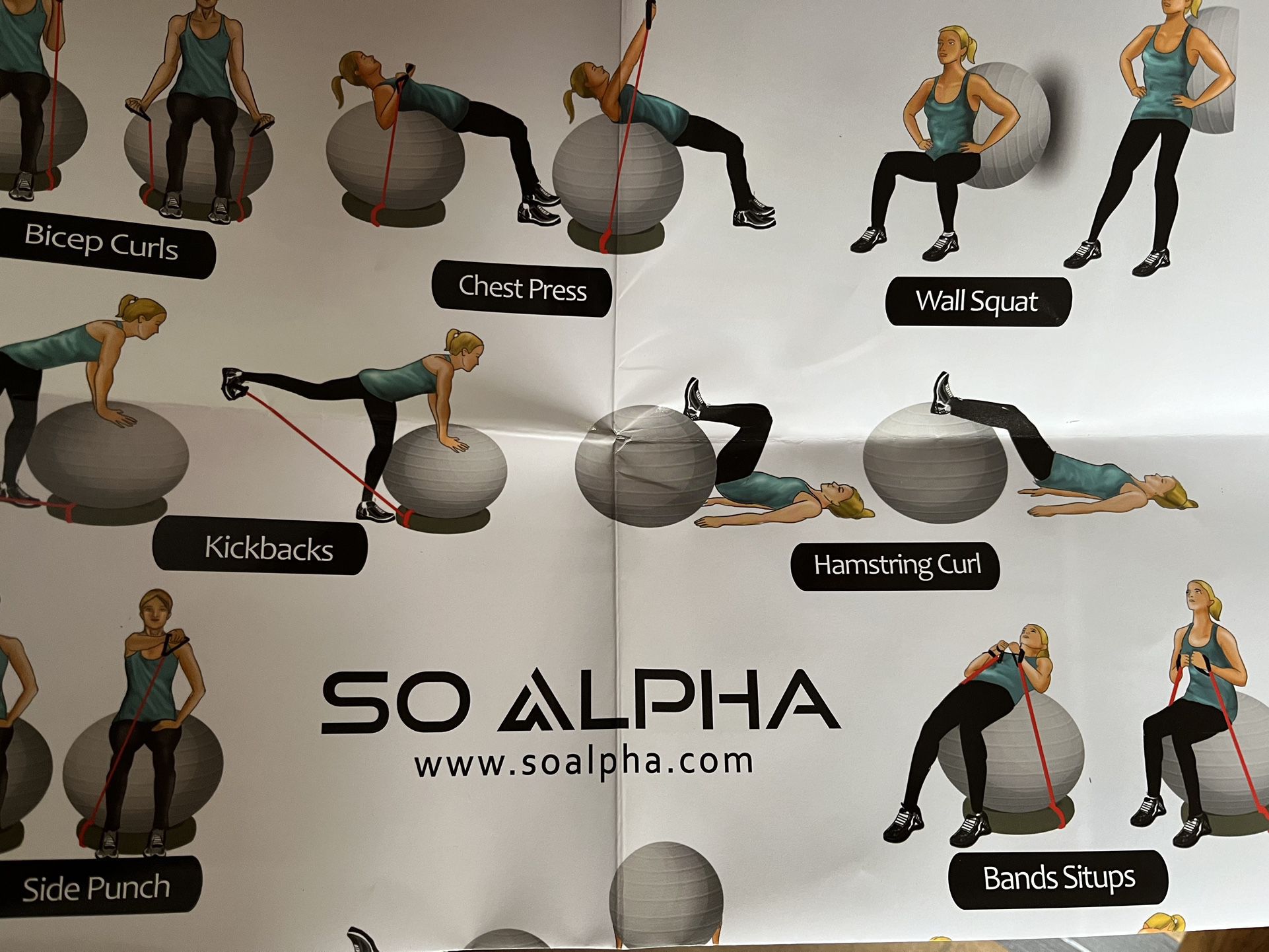 Exercise Ball Bundle Never Used SoAlpha Brand