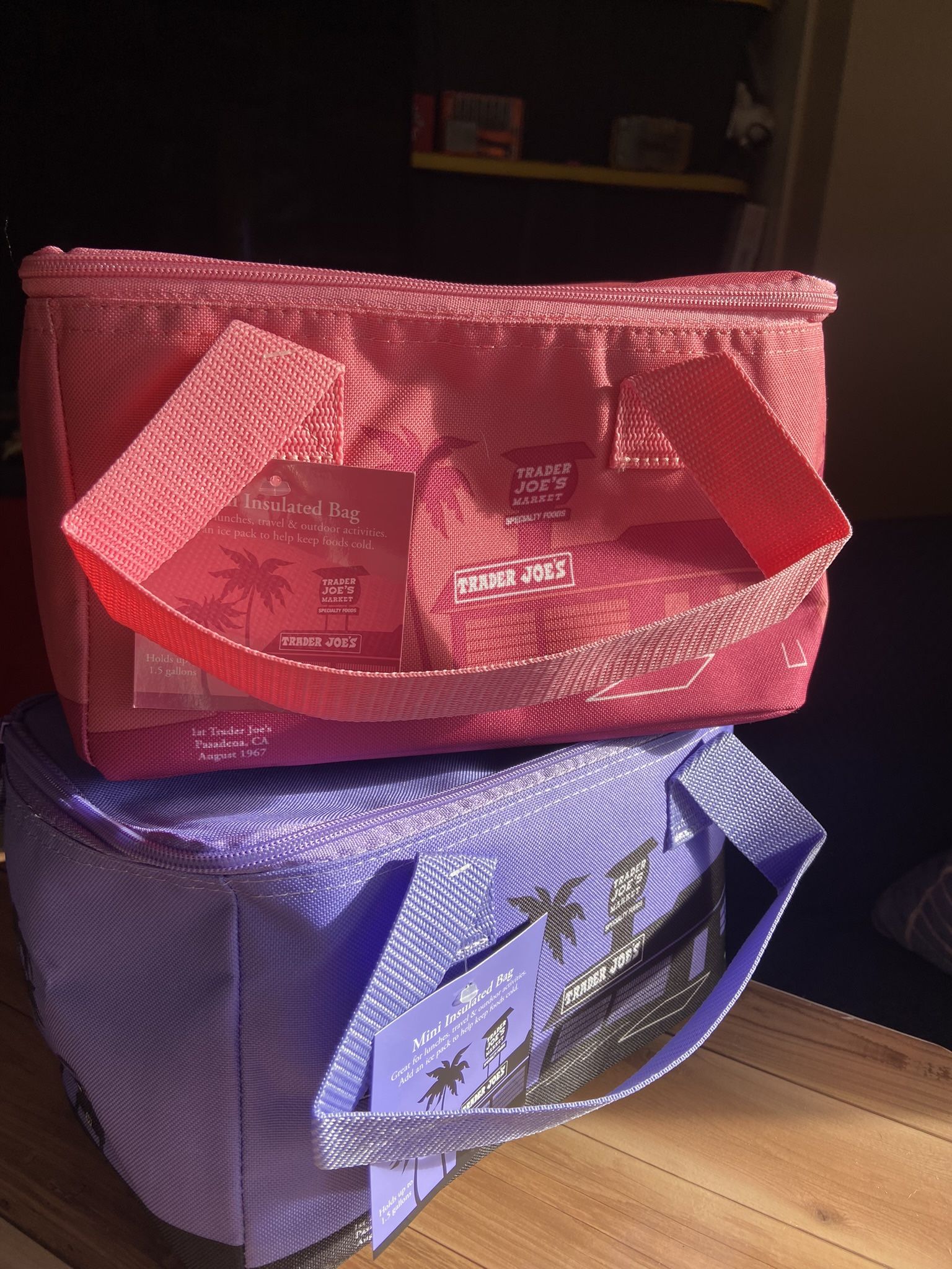 Trader Joes Mini Insulated Bags