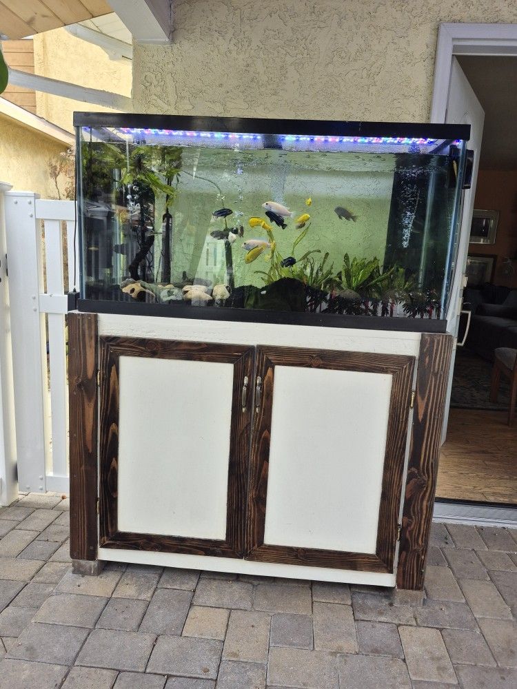 90 Gallon Aquarium