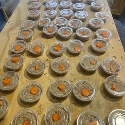 Reptile Food wheat Bran 