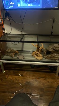 Glass Reptile Tank with Stand and Decor