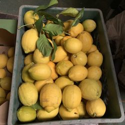 Lemons