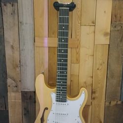Cozart Strat Thinline Style Electric 12 String With Bag