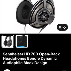 Sennheiser HD 700 Headphones 