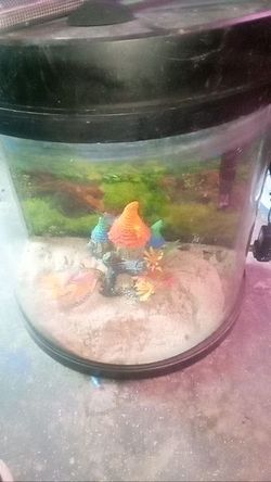 Fin 10gal