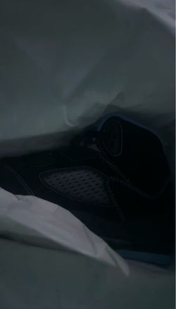 Blue and black brand new Jordan 5s