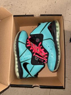 Nike South beach LeBron 8