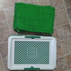 Pet Potty Trainer/ Baño Para Peritos