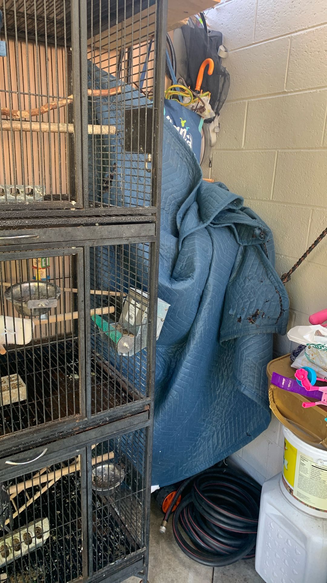 Bird Cage