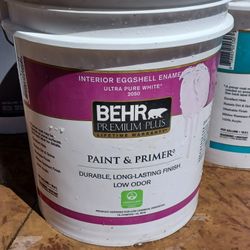 Behr Paint