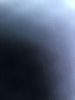 Selling seedless watermelons