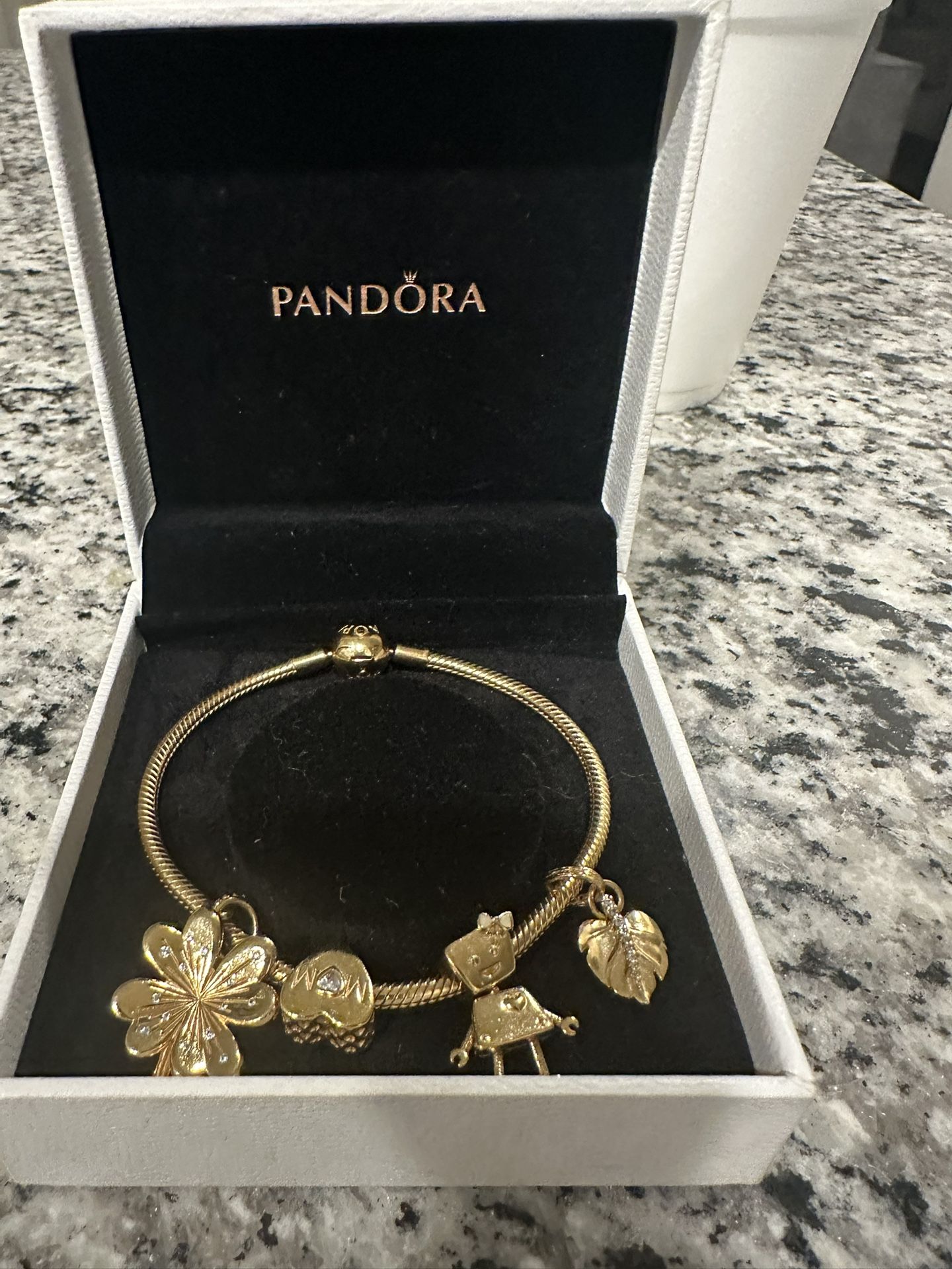 Pandora Bracelet