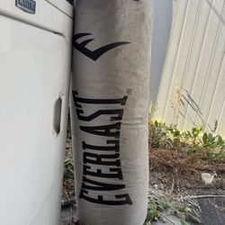 Everlast 60lb Bag