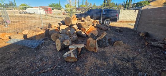 Firewood FREE