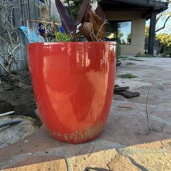 Wes Ceramics Pots And Succulents 