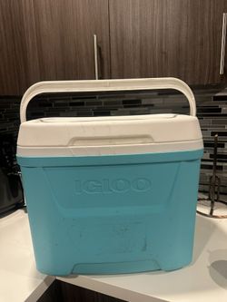 Igloo