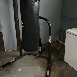 Everlast Punching Bag And Stand 