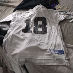 Raiders Gray Jersey 