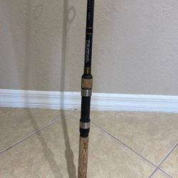 Two Piece Rod In Good Shape 