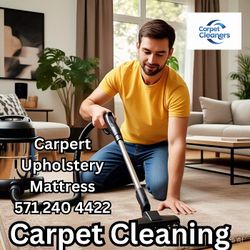 Carpet And Upholstery 