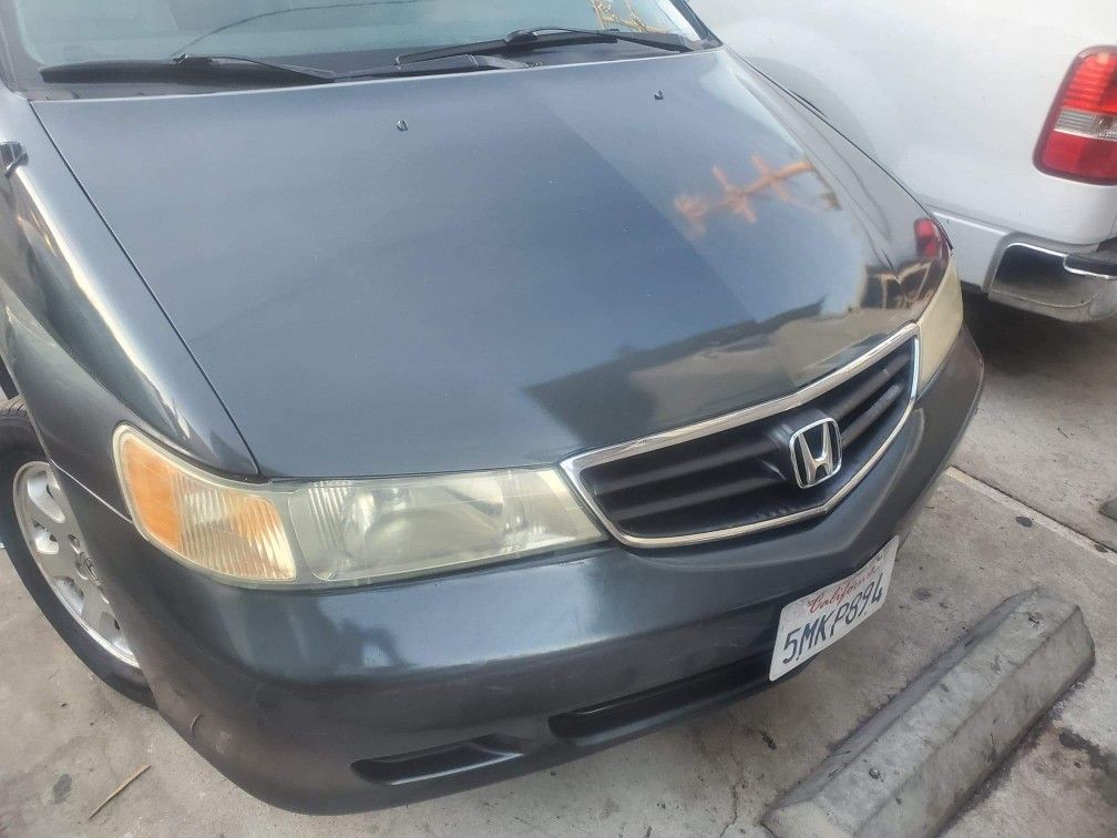 Honda odyssey