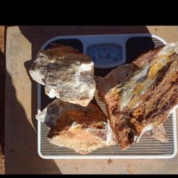 10 Lbs. Gold Ore