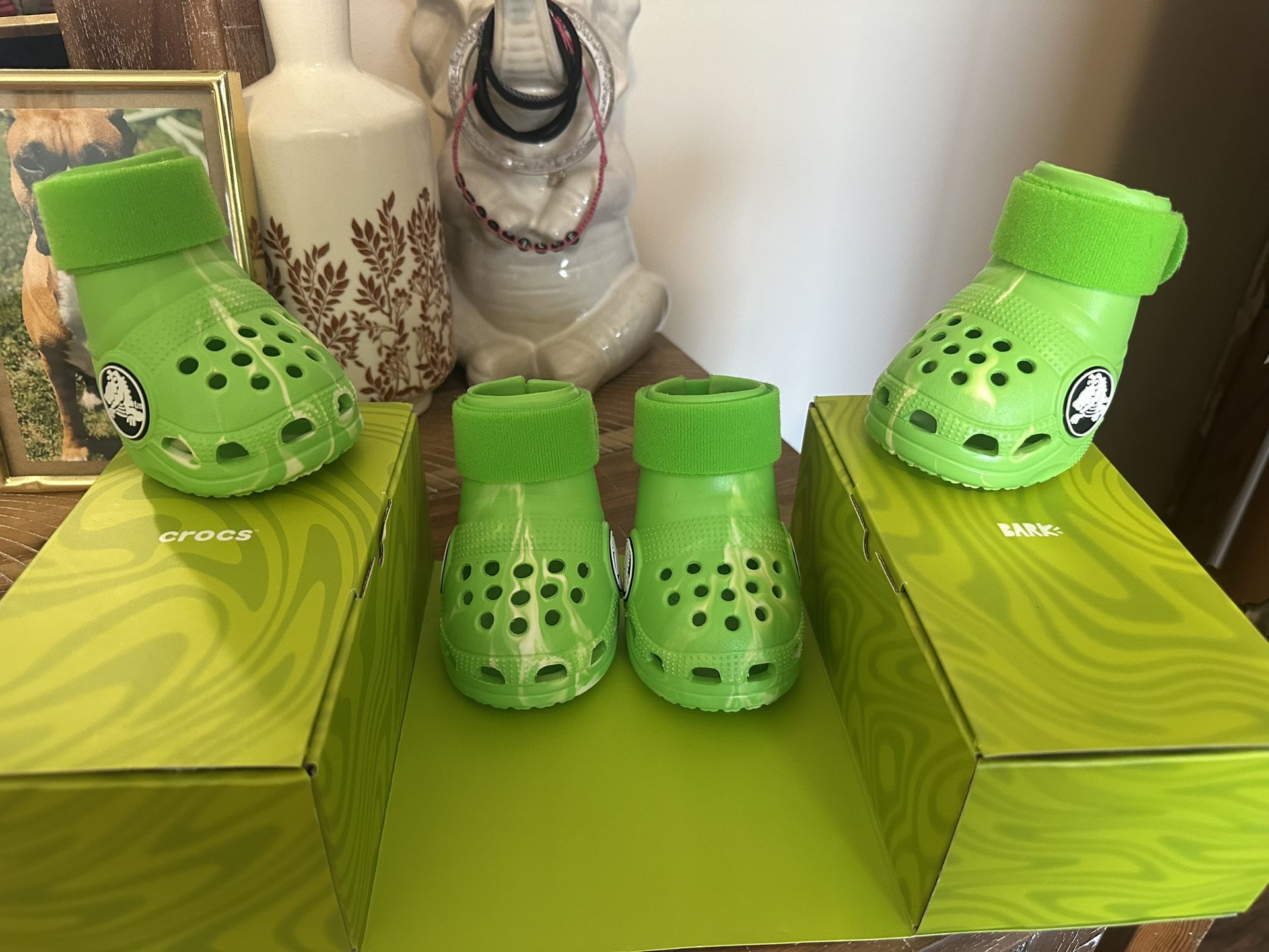 Dog Crocs