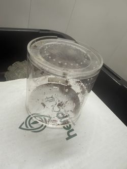 Tarantula crib